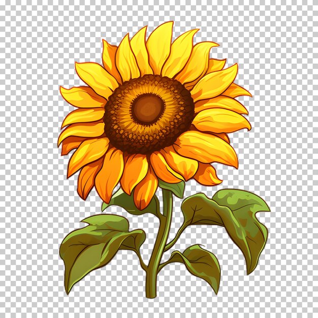 PSD sunflower illustration on transparent background