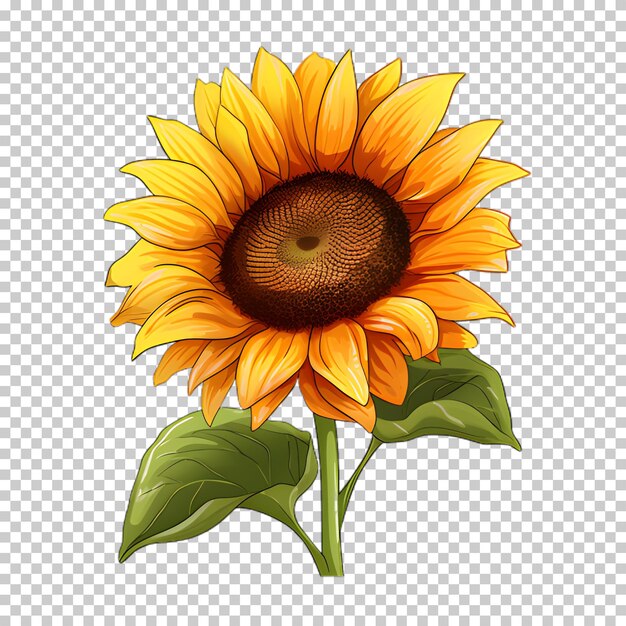 PSD illustrazione di girasole su sfondo trasparente