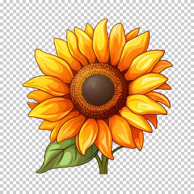 Illustrazione di girasole su sfondo trasparente