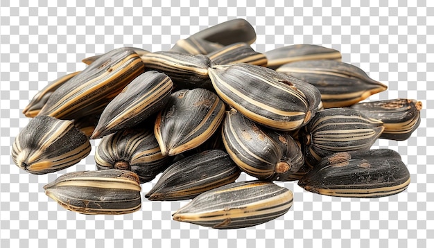 Sunflower seeds isolated on transparent background PNG