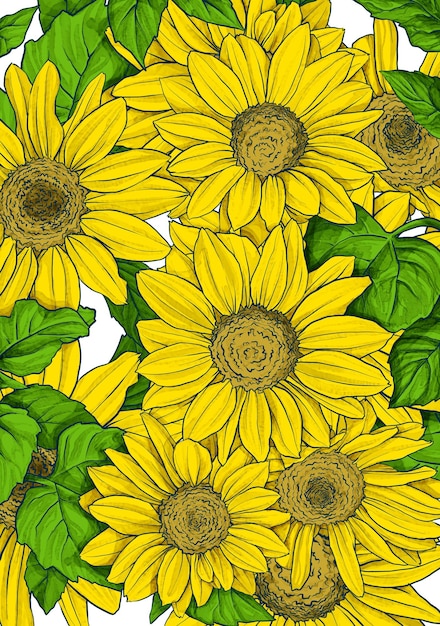 PSD sunflowers with green leaves on a white background