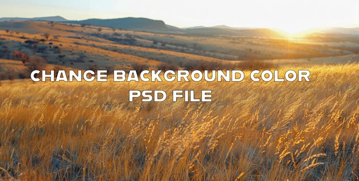 PSD sunset glow on a grassy field in a tranquil forest
