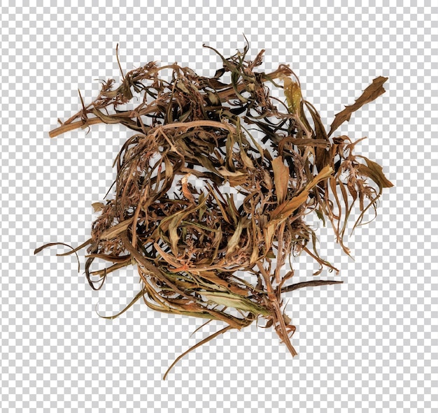 Suszona konopie indyjskiej lub izolowana marihuana Premium PSD