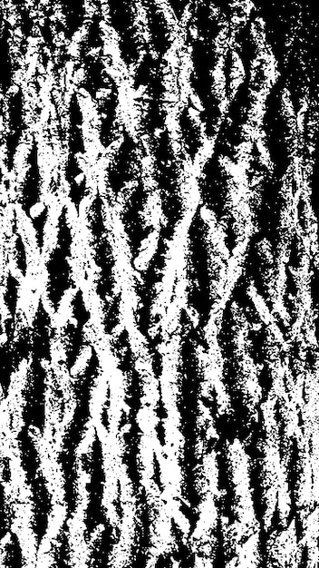 Svart trädbarktextur Bark på vit bakgrund Vektor för gammal trädbakgrund träig grunge-textur