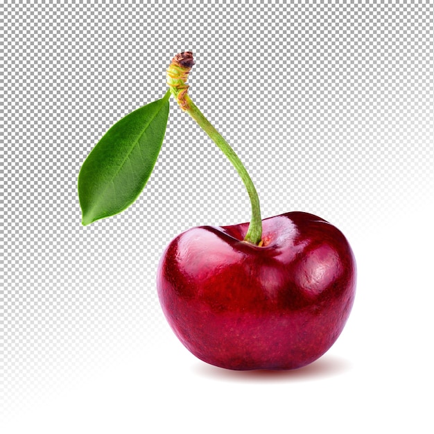 PSD sweet cherry fruit isolated