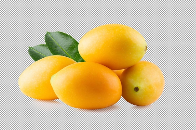 sweet marian plum fruit isolated on alpha
 background