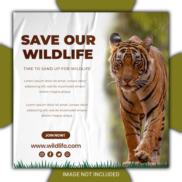 Światowy Dzień Dzikiej Przyrody: Social Media Instagram Post Template for Wildlife and Environment Protection