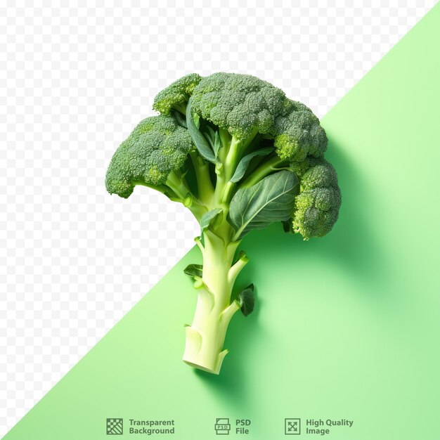 PSD Świeża gałązka brokułów na przezroczystej powierzchni tła symbolizująca zdrową żywność wegetariańską z góry