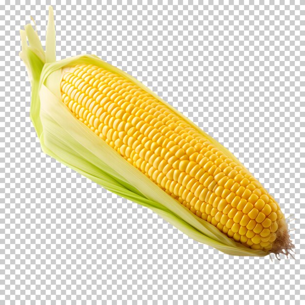 Świeża Kukurydza Słodka Png Na Białym I Przezroczystym Tle