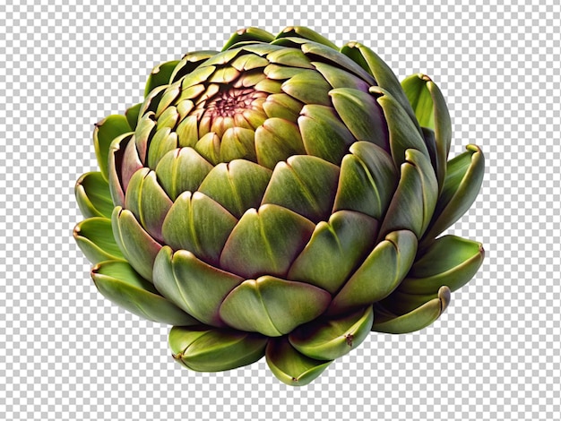 PSD Świeże artichoki