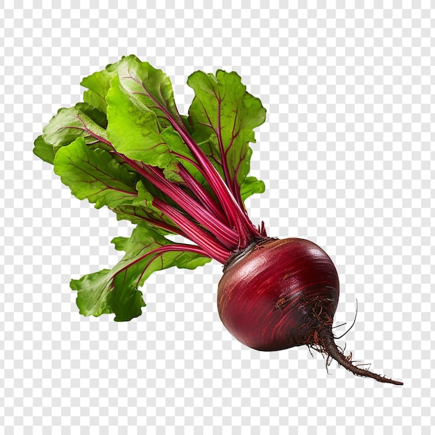 Świeże buraki czerwone png na przezroczystym tle