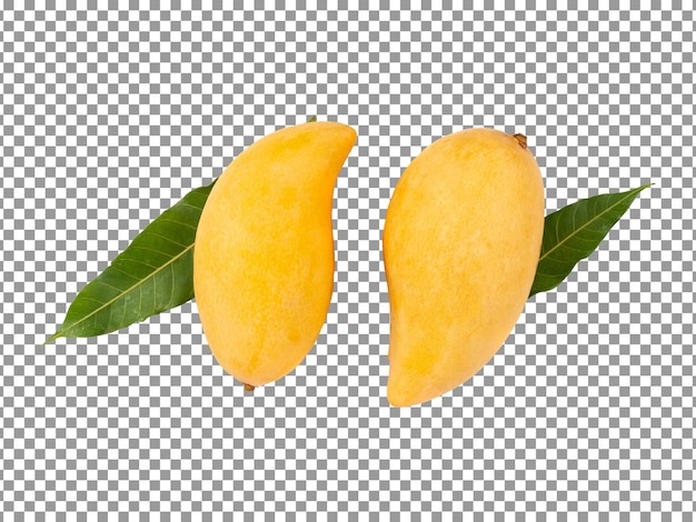 PSD Świeże żółte mango izolowane na przezroczystym tle