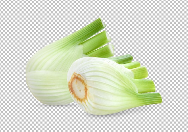 Świeży koperek wyizolowany na warstwie alfa