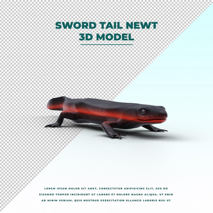 PSD sword tail newt