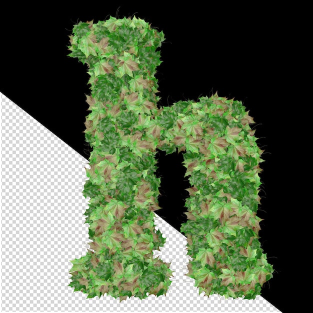 PSD symbol 3d z jesiennych zielonych liści litera h