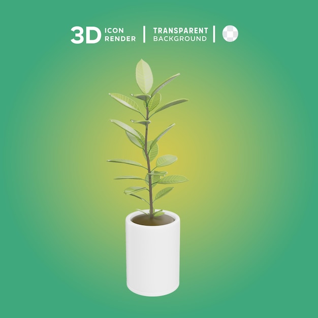 PSD syzygium myrtifolium 3d illustration rendering 3d icon colored isolated