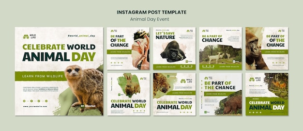 PSD szablon projektu postu na instagram dzień zwierząt
