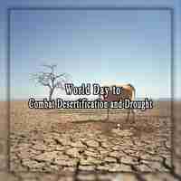 PSD szablon projektu tła lub baneru światowego dnia walki z pustynnością i suszą