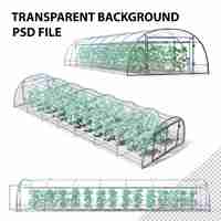 PSD szklarnia z roślinami png