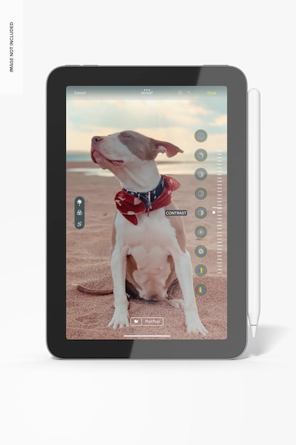 tablet mini mockup, front view