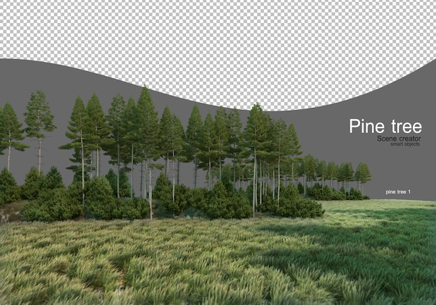 Tallskog mitt på fältet