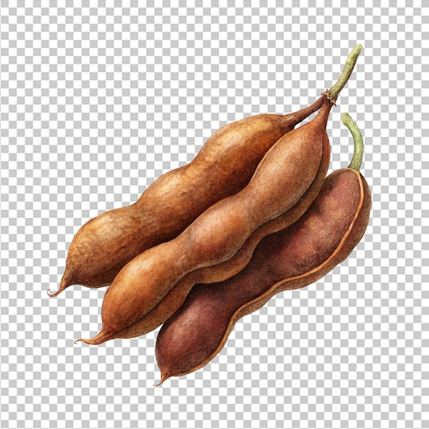 PSD tamarind png