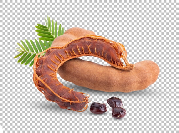 PSD tamarind with leaves isolated on alpha layer