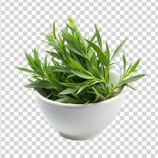 Tarragon bun in a bowl isolated on transparent background