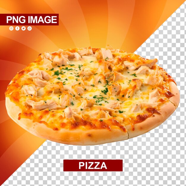 A tasty cheese pizza with delicious combination