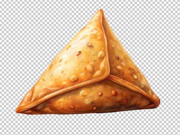 Tasty samosa