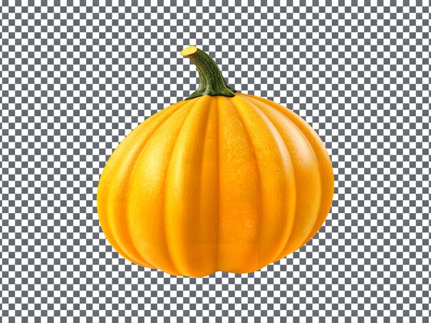 PSD tasty squash isolated on transparent background