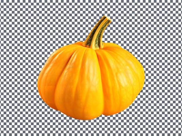 PSD tasty squash isolated on transparent background