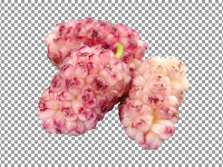 PSD tasty sweet mulberry isolated on transparent background