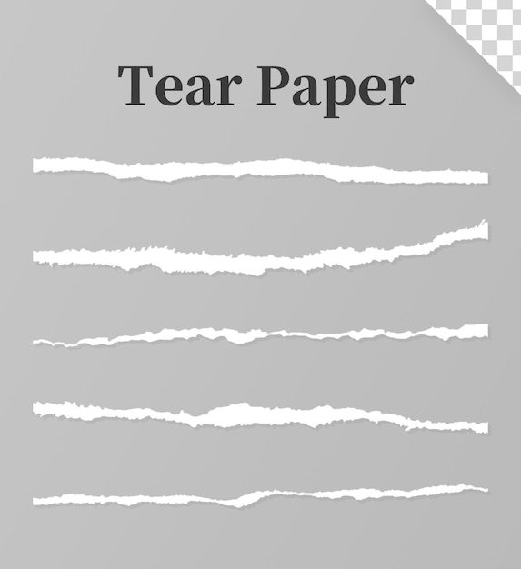 Tear paper design set with transparent background