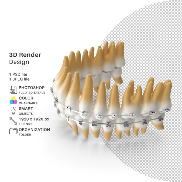 PSD teeth with braces model 3d modeling psd file realistic