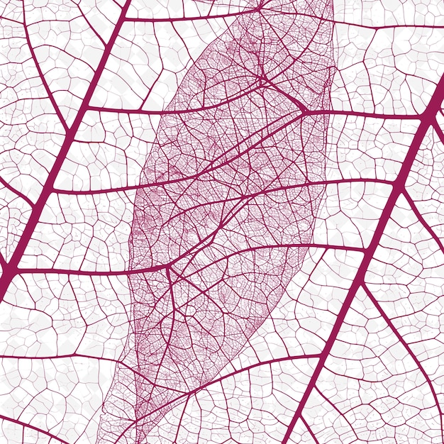 PSD tekstura sieci żył liści z rozgałęzieniem naczyń krwionośnych i wewnętrznych png kreatywne pokrycie dekoracji tła