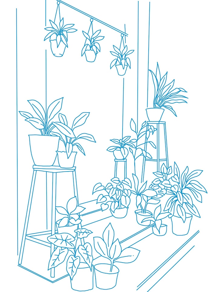 PSD テラスの家庭植物のイラスト