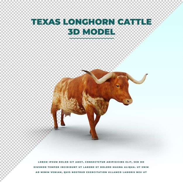 PSD texas longhorn cattle isolated