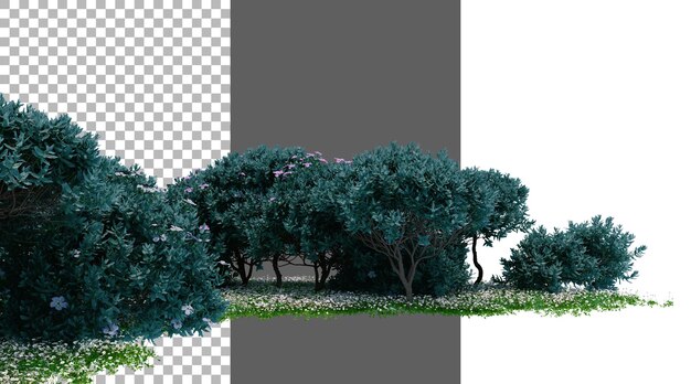 texas sage flower bush on transparent background png 3d rendering