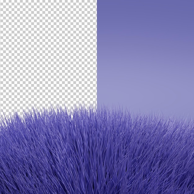 PSD texture of the fur is very peri color. color of 2022. realistic purple fur. 3d render. color trends