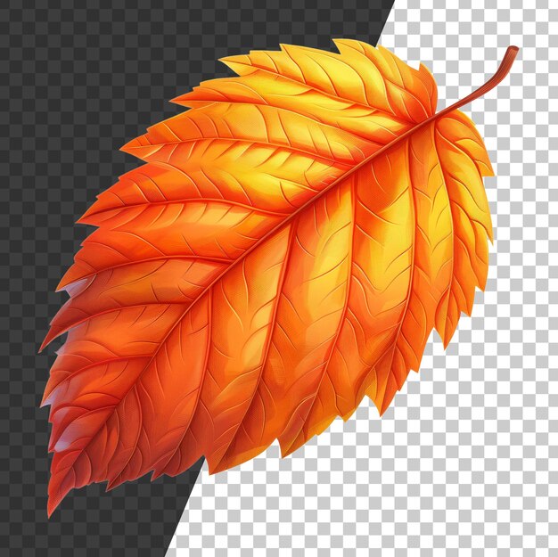 PSD textured leaf in warm fall colors on transparent background stock png