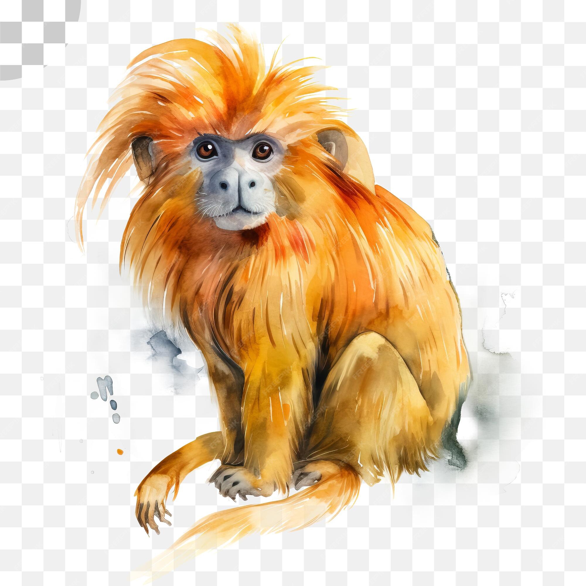 원숭이 Png 다운로드의 라이온 킹 수채화 그림 | 프리미엄 Psd 파일