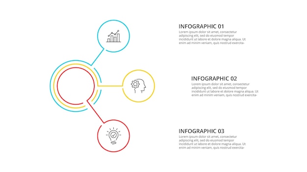 Elemento piatto sottile per infografica concetto di business con 3 opzioni parti passaggi o processi