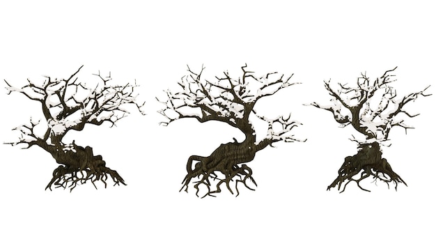 Three bonsai trees in a row with bare branches and roots on a black background