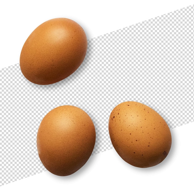 three brown eggs on a white background