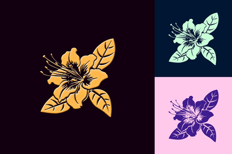 PSD 3つの異なる色の花が黒い背景に示されています