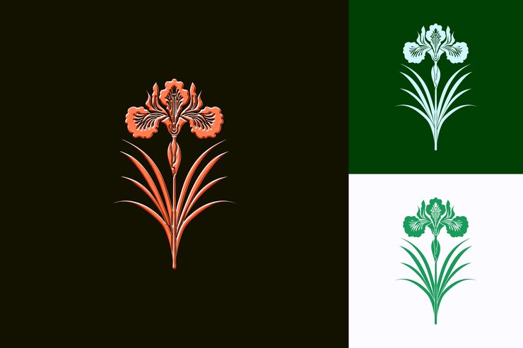 PSD the three images are shown with the same design