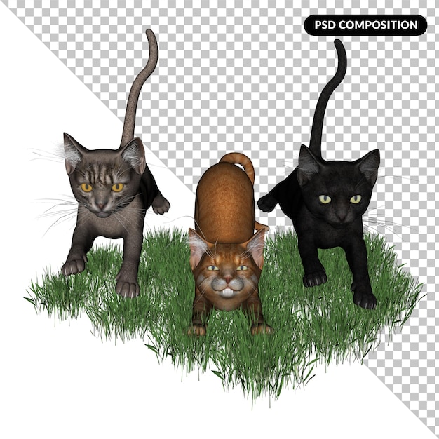 PSD three kitty cats isolated 3d rendering