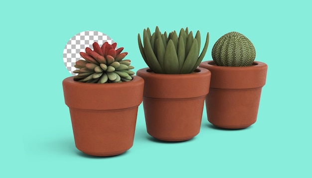 PSD three plants on brown small pot for room or office decorations