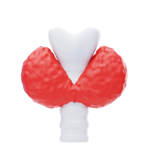 PSD thyroid 3d icon